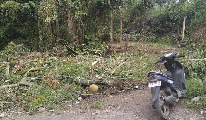 PASTI CLOSING DI JUAL TANAH VIEW SUNGAI & HUTAN LOKASI PETULU UBUD GIANYAR
 2