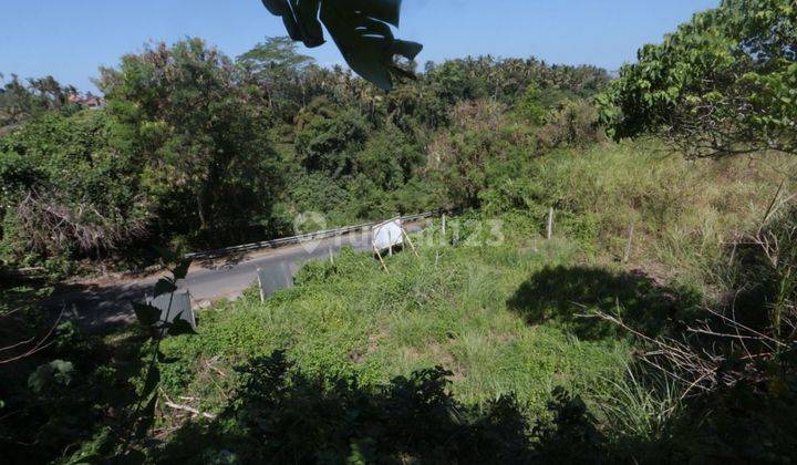 PASTI CLOSING DI JUAL TANAH RIVERSIDE PINGGIR JALAN LOKASI KEMENUH UBUD GIANYAR
 2