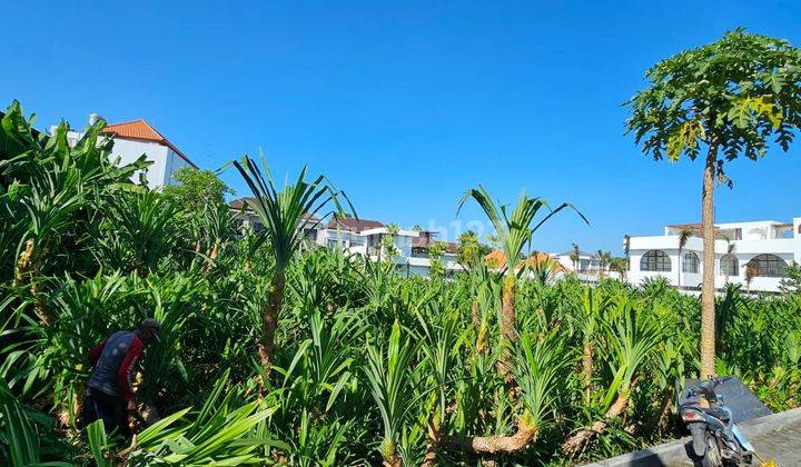 CERTAINLY CLOSED FOR RENT LAND IN TUMBAK BAYUH CANGGU NORTH KUTA BADUNG LOCATION 2