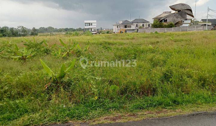 DEFINITELY CLOSING FOR SALE LAND VIEW FIELD SIDE ROAD LOCATION UMALALANG CEMAGI MENGWI BADUNG
 1