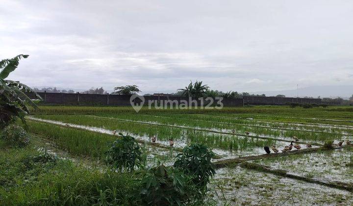 Pasti Closing Di Jual Tanah Loss Pantai View Laut Lokasi Pasut Tibu Biu Kerambitan Tabanan 2