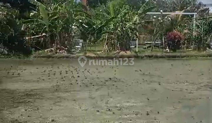 PASTI CLOSING DI SEWAKAN TANAH LOKASI KAYU TULANG CANGGU KUTA UTARA BADUNG
 1