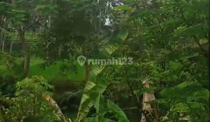 PASTI CLOSING DI JUAL TANAH LOKASI PEJENG UBUD GIANYAR 2