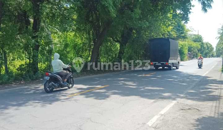 Pasti Closing Di Jual Tanah Loss Pantai View Laut Lokasi Kubutambahan Buleleng