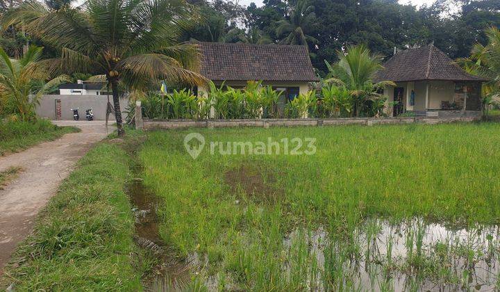 PASTI CLOSING DI SEWAKAN TANAH LOKASI TEGALLALANG UBUD GIANYAR 1