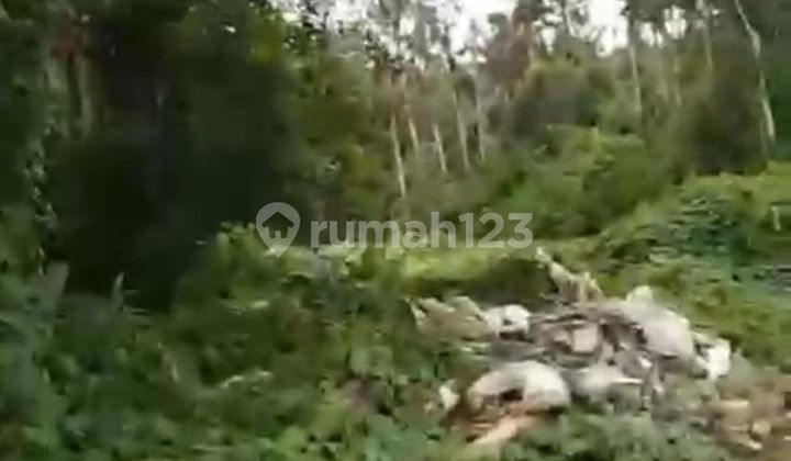 PASTI CLOSING DI JUAL TANAH LOKASI TEBONGKANG UBUD GIANYAR