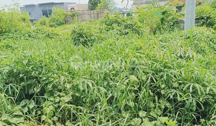 CERTAINLY CLOSING TO RENT LAND BY THE ROAD LOCATION MUNGGU KAPAL MENGWI BADUNG