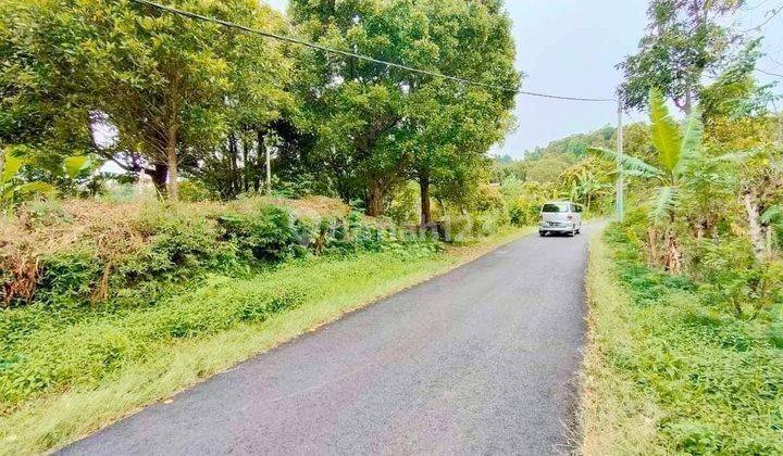 Pasti Closing Di Jual Tanah Kebun Cengkeh View Laut Lokasi Selat Sukasada Buleleng
 2