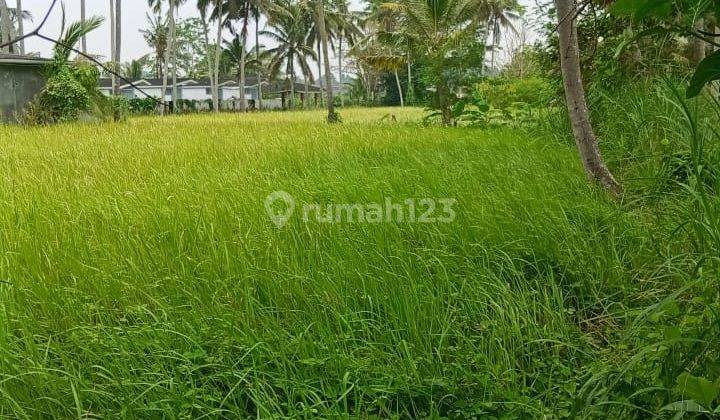 PASTI CLOSING DI JUAL TANAH LOKASI SILUNGAN LODTUNDUH UBUD GIANYAR 1