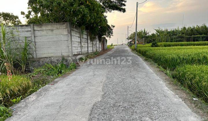 PASTI DEAL DI JUAL TANAH LOKASI NYANYI BERABAN KEDIRI TABANAN  2