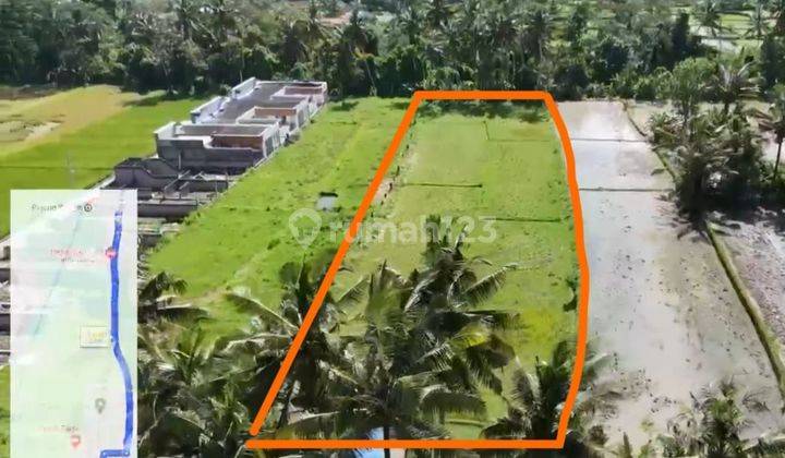 PASTI CLOSING DI SEWAKAN TANAH VIEW SAWAH LOKASI PEJENG UBUD GIANYAR 1