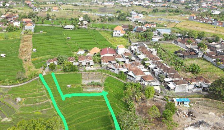 PASTI CLOSING DI JUAL TANAH VIEW SAWAH & SUNGAI LOKASI MUNGGU KAPAL MENGWI BADUNG
 2