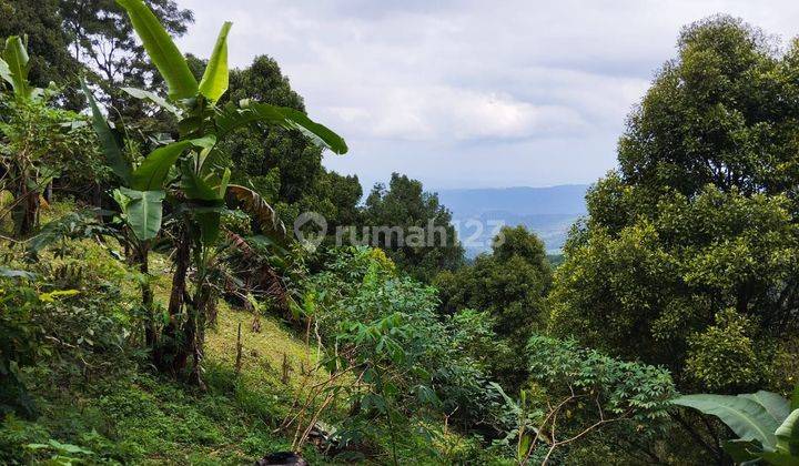 PASTI CLOSING DI JUAL TANAH VIEW LAUT LOKASI MUNDUK BULELENG 2