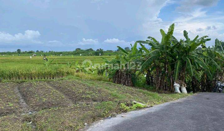 PASTI CLOSING DI JUAL TANAH LOKASI TUMBAK BAYUH PERERENAN CANGGU KUTA UTARA BADUNG
 1