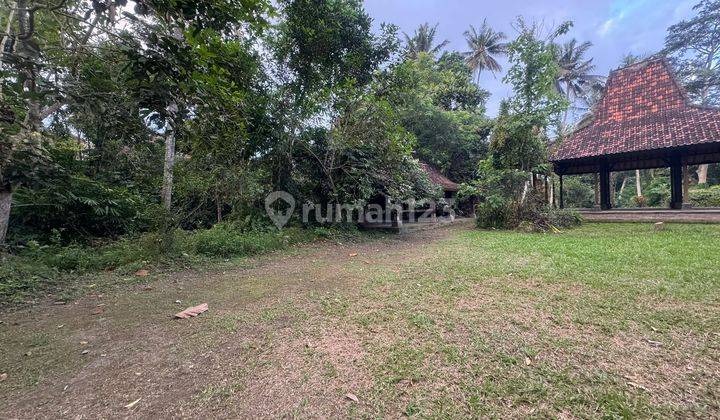 PASTI CLOSING DI SEWAKAN TANAH VIEW HUTAN & SUNGAI LOKASI SINGAKERTA UBUD GIANYAR 1