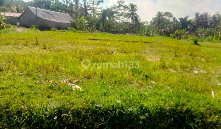 SURELY CLOSED FOR SALE LAND IN THE LOCATION OF CALO TEGALLALANG UBUD GIANYAR 1