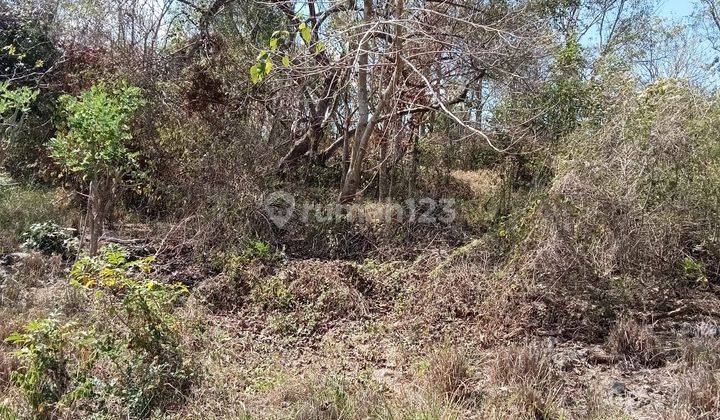 PASTI CLOSING DI SEWAKAN TANAH VIEW LAUT LOKASI BATU NUNGGUL PECATU KUTA SELATAN BADUNG 
 1