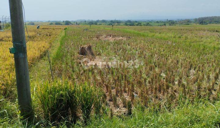 PASTI DEAL DI JUAL TANAH LOKASI KELATING KERAMBITAN TABANAN  1