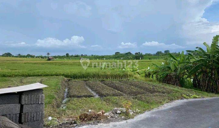 PASTI CLOSING DI JUAL TANAH LOKASI TUMBAK BAYUH PERERENAN CANGGU KUTA UTARA BADUNG
 2