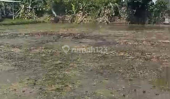 PASTI CLOSING DI SEWAKAN TANAH LOKASI KAYU TULANG CANGGU KUTA UTARA BADUNG
 2