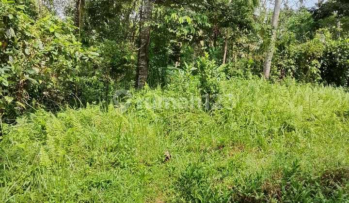 Pasti Closing Di Jual Tanah View Hutan & Sungai Lokasi Pejeng Kaja Ubud Gianyar