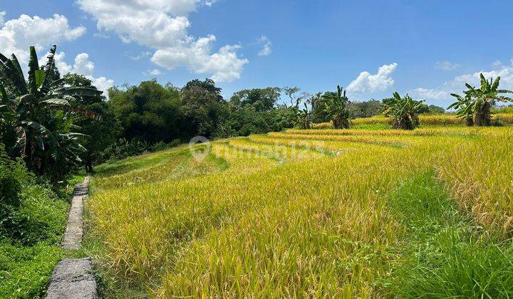 CERTAINLY CLOSING FOR RENT LAND AT THE BERABAN TABANAN SINGING LOCATION 1