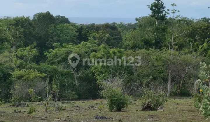 Pasti Closing Di Jual Tanah View Laut Lokasi Pecatu Kuta Selatan Badung Pasti Closing Di Jual Tanah View Laut Lokasi Pecatu Kuta Selatan Badung
