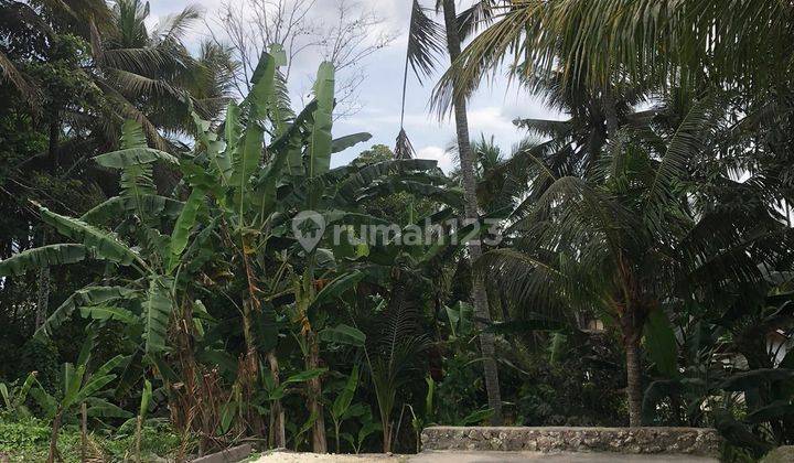 SURE CLOSING FOR SALE LAND WITH RIVER VIEW RICE FIELDS LOCATION UBUD GIANYAR
 1