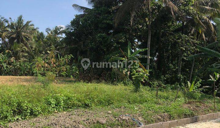 SURE CLOSING FOR SALE LAND WITH RIVER VIEW RICE FIELDS LOCATION UBUD GIANYAR
 2