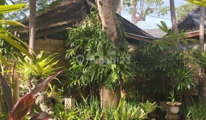 SURE DEAL FOR SALE LAND WITH BONUS BUILDING BEACH SIDE LOCATION SANUR SOUTH DENPASAR
 2