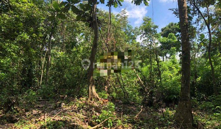 PASTI CLOSING DI JUAL TANAH LOSS SUNGAI & AIR TERJUN LOKASI KEMENUH UBUD GIANYAR 
 2