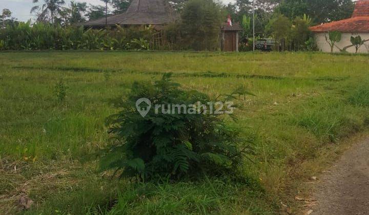 SURELY CLOSED FOR SALE LAND IN THE LOCATION OF CALO TEGALLALANG UBUD GIANYAR 2