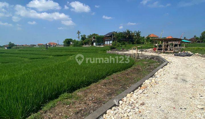 PASTI CLOSING DI JUAL TANAH VIEW SAWAH LOKASI BERNASI BUDUK DALUNG BADUNG
 2