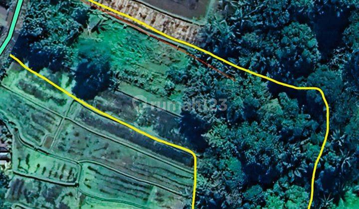 SURE CLOSING FOR SALE LAND WITH RICE FIELD VIEW IN TEGALLALANG UBUD GIANYAR LOCATION 1