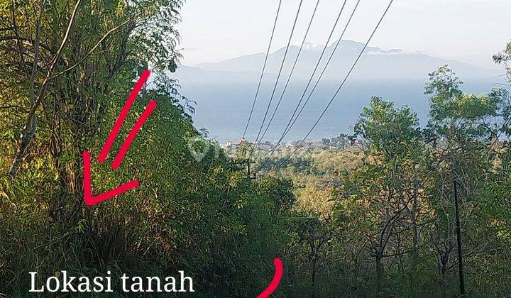 PASTI DEAL DI JUAL TANAH VIEW LAUT LOKASI NUSA PENIDA KLUNGKUNG 1