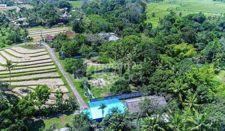 PASTI DEAL DI JUAL TANAH LOKASI NYANYI BERABAN KEDIRI TABANAN 2