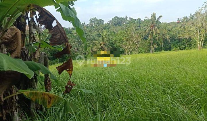 Pasti Closing Di Jual Tanah Lokasi Sukawati Gianyar 1