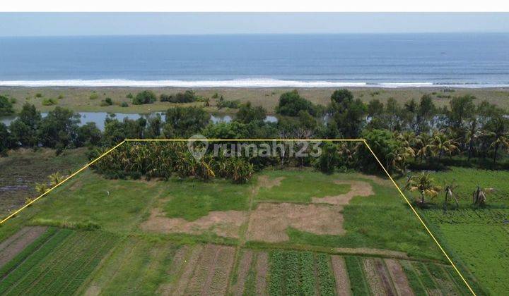 SURE DEAL FOR SALE LAND LOSS SUNGAI LOCATION DELOD BERAWAH JEMBRANA
 1