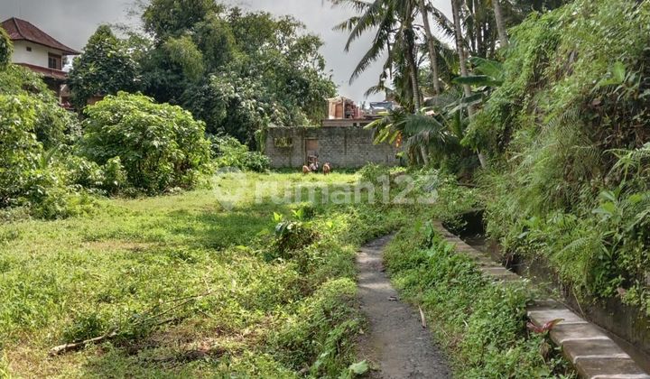 PASTI CLOSING DI JUAL TANAH VIEW SAWAH LOKASI GUNUNG SARI UBUD GIANYAR
