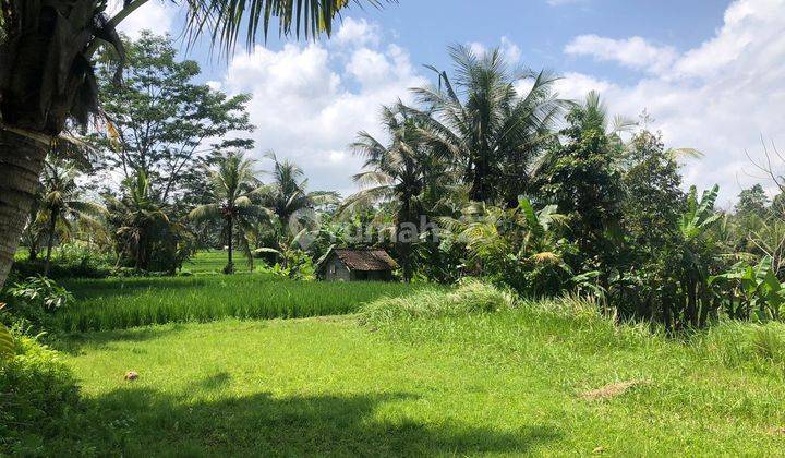 PASTI CLOSING DI JUAL TANAH VIEW SAWAH & HUTAN LOKASI PEJENG UBUD GIANYAR
 1