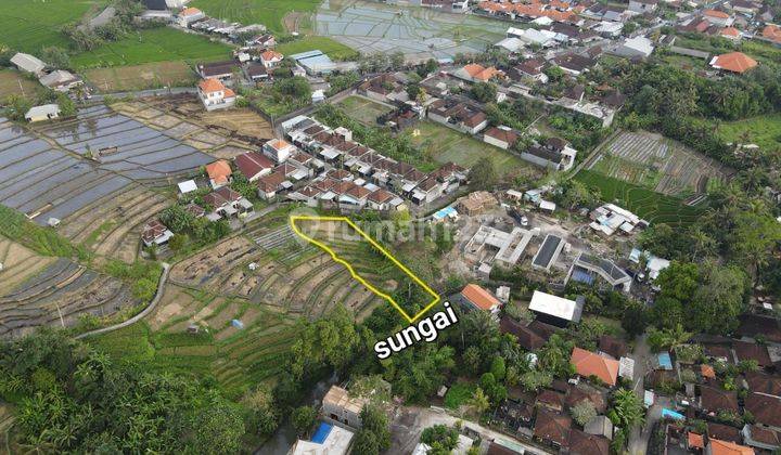 PASTI CLOSING DI JUAL TANAH LOSS SUNGAI VIEW SAWAH LOKASI SELINGSING CEPAKA TABANAN
 2