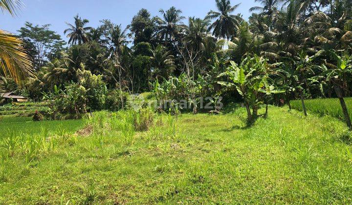 PASTI CLOSING DI JUAL TANAH VIEW SAWAH & HUTAN LOKASI PEJENG UBUD GIANYAR
 2