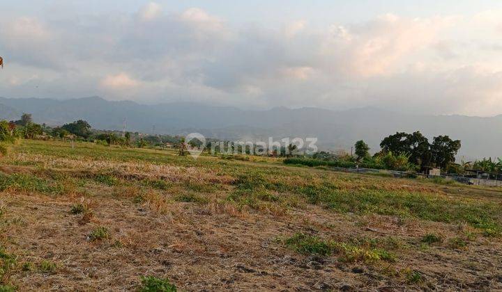 SURE CLOSING FOR SALE LAND NEAR THE BEACH WITH SEA VIEW LOCATION KALISADA SERIRIT BULELENG
 1