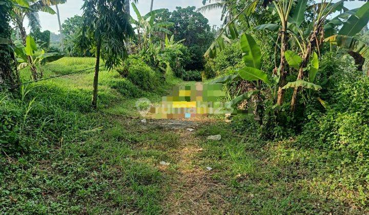 Pasti Closing Di Jual Tanah Lokasi Sukawati Gianyar 2