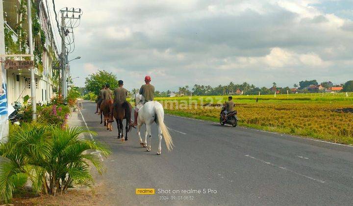 SURELY CLOSED
LAND FOR SALE IN PANGKUNG TIBAH KEDUNGU KEDIRI TABANAN 1