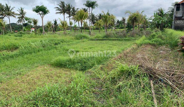 PASTI CLOSING DI JUAL TANAH VIEW SAWAH LOKASI SINGAKERTA UBUD GIANYAR
 2