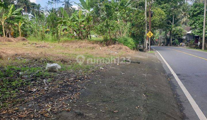 Pasti Closing Di Sewakan Tanah Loss Sungai View Sawah Pinggir Jalan Lokasi Tampak Siring Ubud Gianyar 2