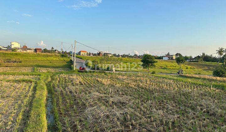 CERTAINLY CLOSING FOR RENT LAND AT BERABAN SINGING LOCATION, KEDIRI, TABANAN 2