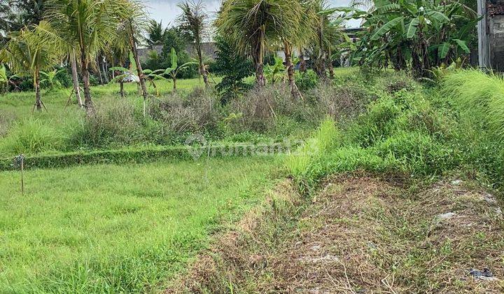 PASTI CLOSING DI JUAL TANAH VIEW SAWAH LOKASI SINGAKERTA UBUD GIANYAR
 1