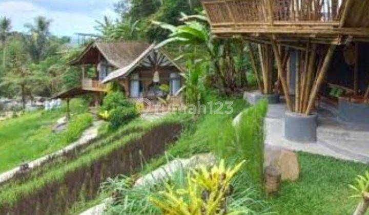 PASTI CLOSING DI JUAL TANAH BONUS BANGUNAN VIEW SAWAH & SUNGAI LOKASI JATILUWIH TABANAN 2